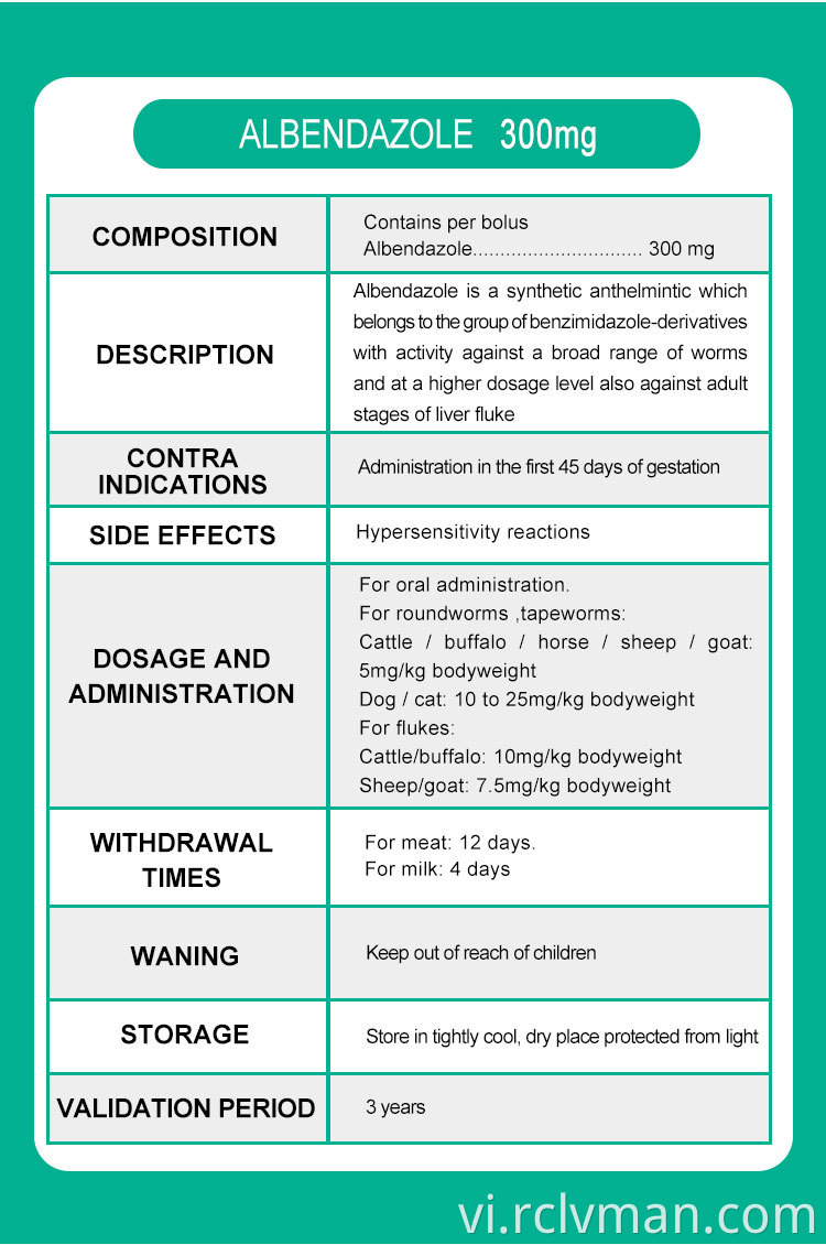Albendazole Tablets 02